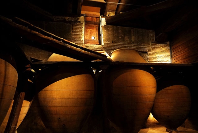Wine Museum Navalcarnero